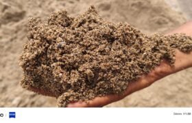 Natural sand exporter India